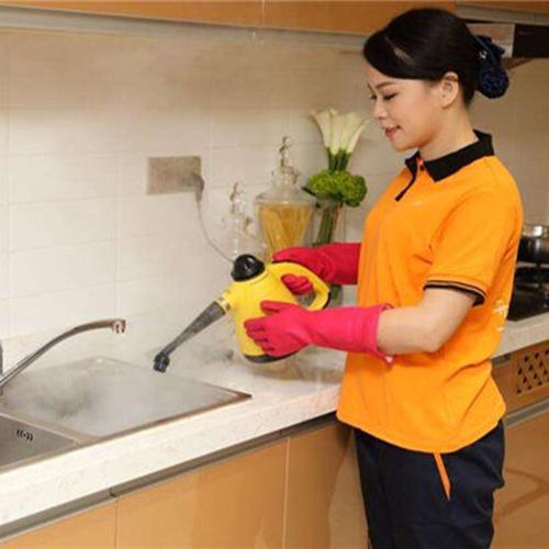 家(jiā)政服務員(yuán)崗位注意事(shì)項